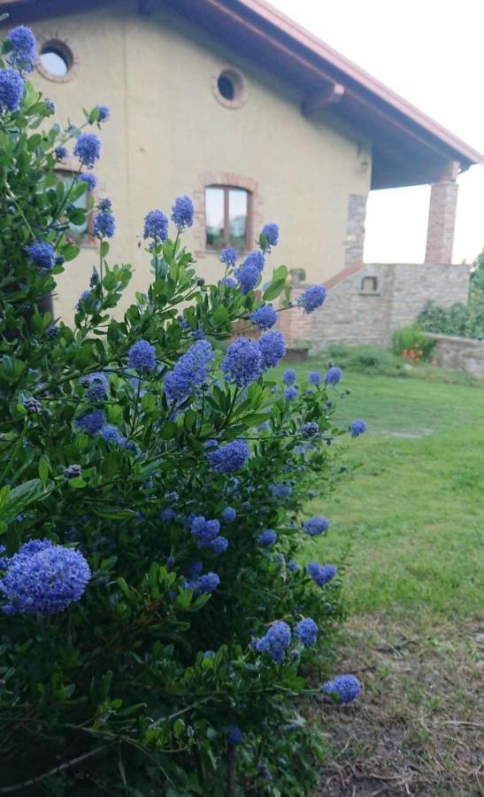 B&B La Casa Dei Cuori Millesimo Luaran gambar